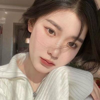 与鲨共游